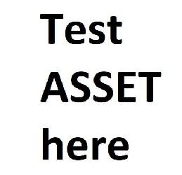 test asset